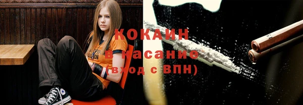 ГАЛЛЮЦИНОГЕННЫЕ ГРИБЫ Дмитриев