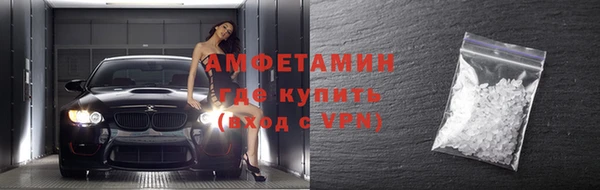 ГАЛЛЮЦИНОГЕННЫЕ ГРИБЫ Дмитриев