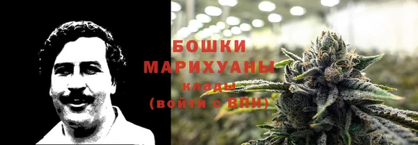эйфоретик Гусь-Хрустальный