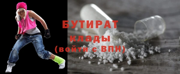ГАЛЛЮЦИНОГЕННЫЕ ГРИБЫ Дмитриев