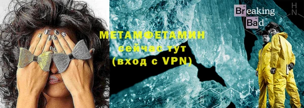ГАЛЛЮЦИНОГЕННЫЕ ГРИБЫ Дмитриев