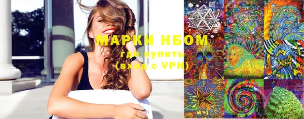 эйфоретик Гусь-Хрустальный