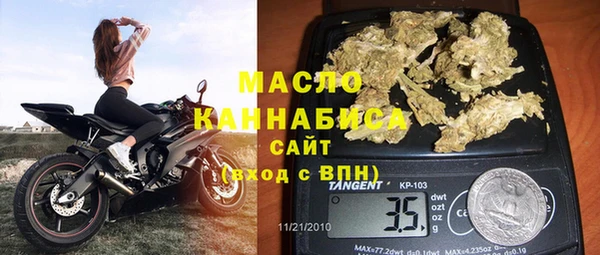 эйфоретик Гусь-Хрустальный