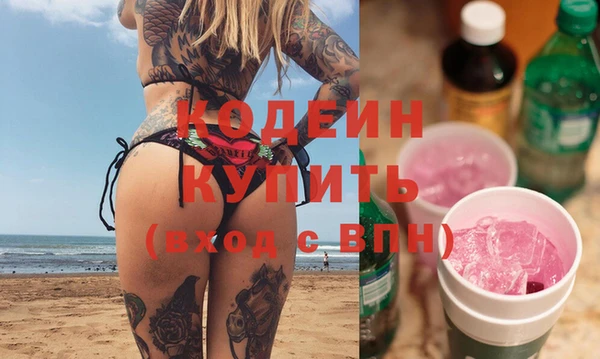 ГАЛЛЮЦИНОГЕННЫЕ ГРИБЫ Дмитриев