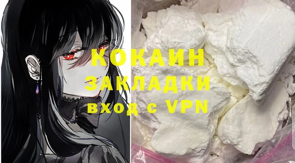 эйфоретик Гусь-Хрустальный