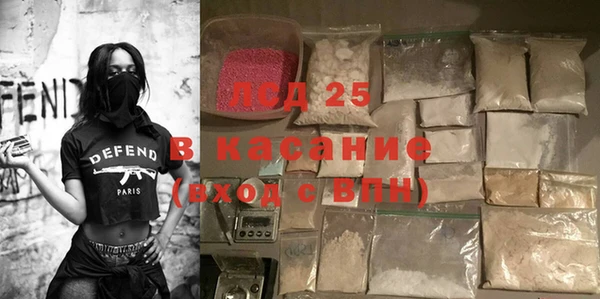 ГАЛЛЮЦИНОГЕННЫЕ ГРИБЫ Дмитриев