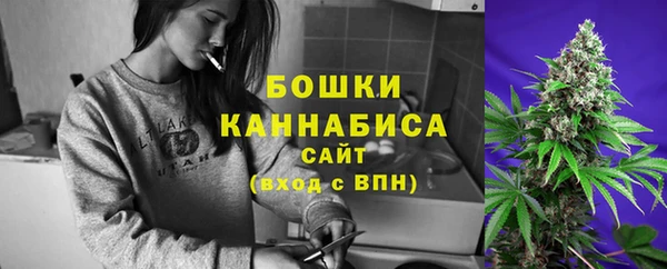 стаф Гусиноозёрск